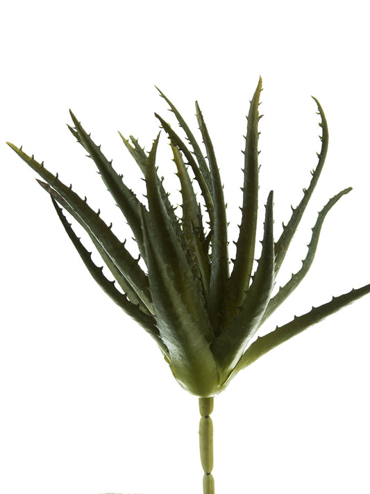 2130059GR 10" Aloe Pick w/Specks - A&B Wholesale Market Inc