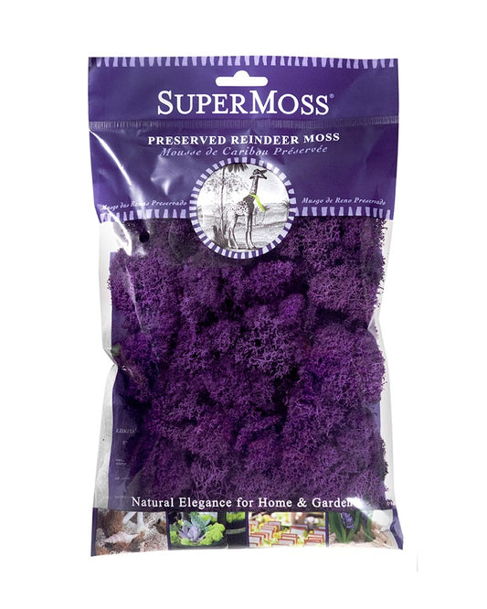 25124 Reindeer Moss Purple - A&B Wholesale Market Inc