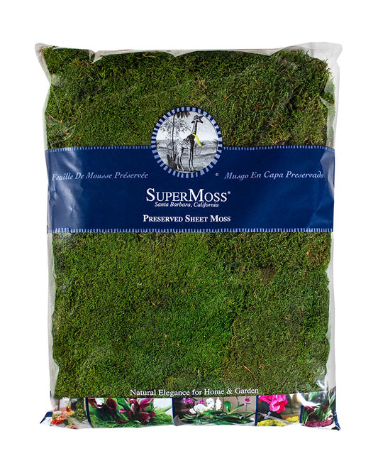 21585 Sheet Moss Small - A&B Wholesale Market Inc
