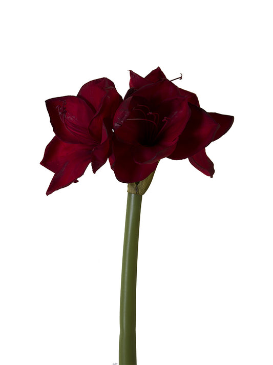 2215015RD 26" Amaryllis W/3F1B Red - A&B Wholesale Market Inc