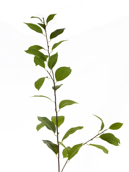 2310145GR  43" LAUREL LEAVES STEM