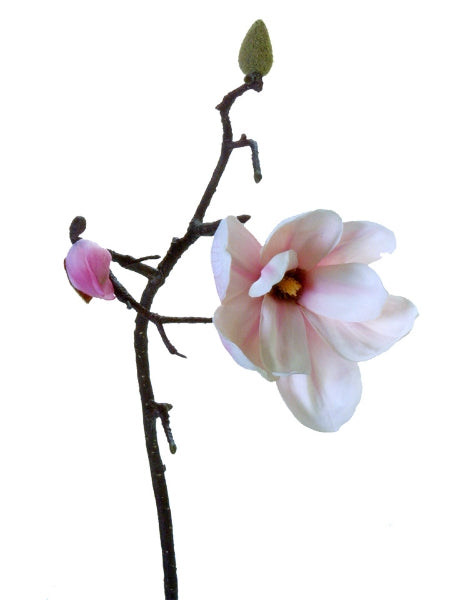 239090  29" SAUCER MAGNOLIA SPRAY S FU/WH