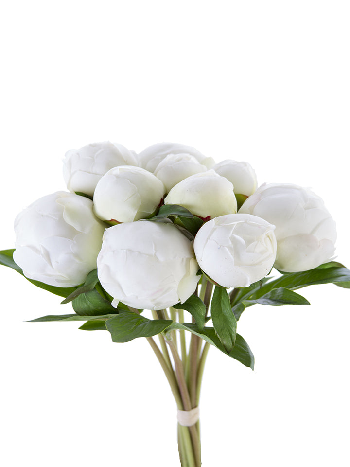 2253003CR 12" PEONY BUD FRESH TOUCH BUNDLE X10 - CREAM