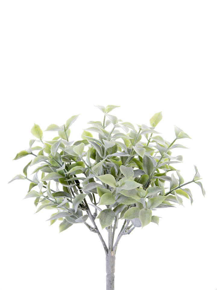 2320109VG  11" LAUREL LEAF BUSH