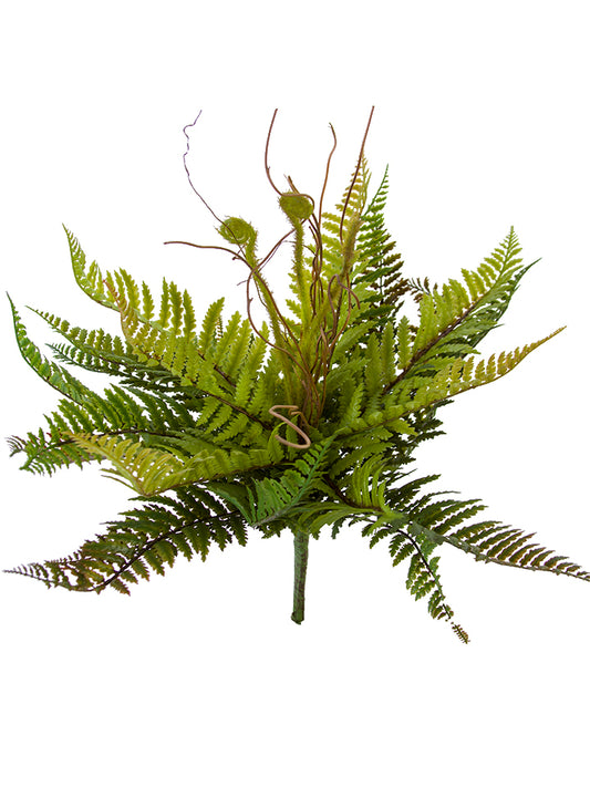 2320121GB  13" TOTARA FERN BUSH