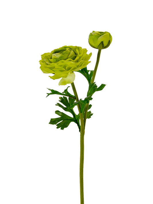 2280019GR 22" Ranunculus x2 - A&B Wholesale Market Inc