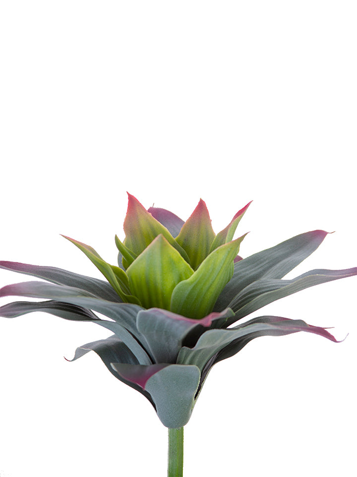 2130224BG 10" Agave Pick - A&B Wholesale Market Inc