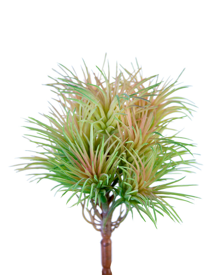 2130229GP 5" Tillandsia Pick - A&B Wholesale Market Inc