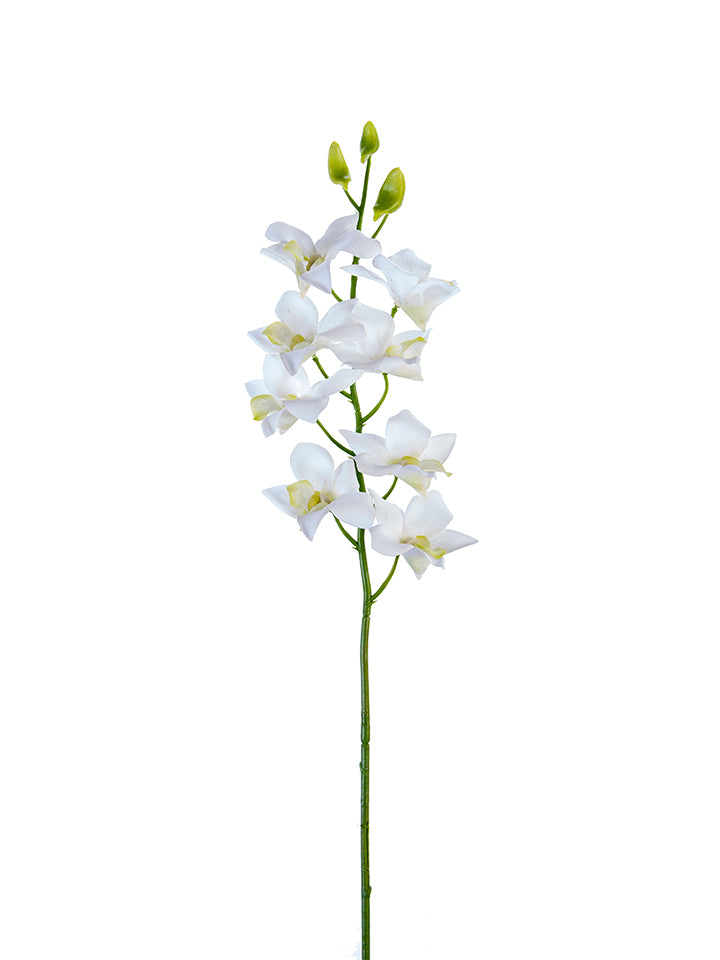 2230092WH 27" Dendrobium Orchid