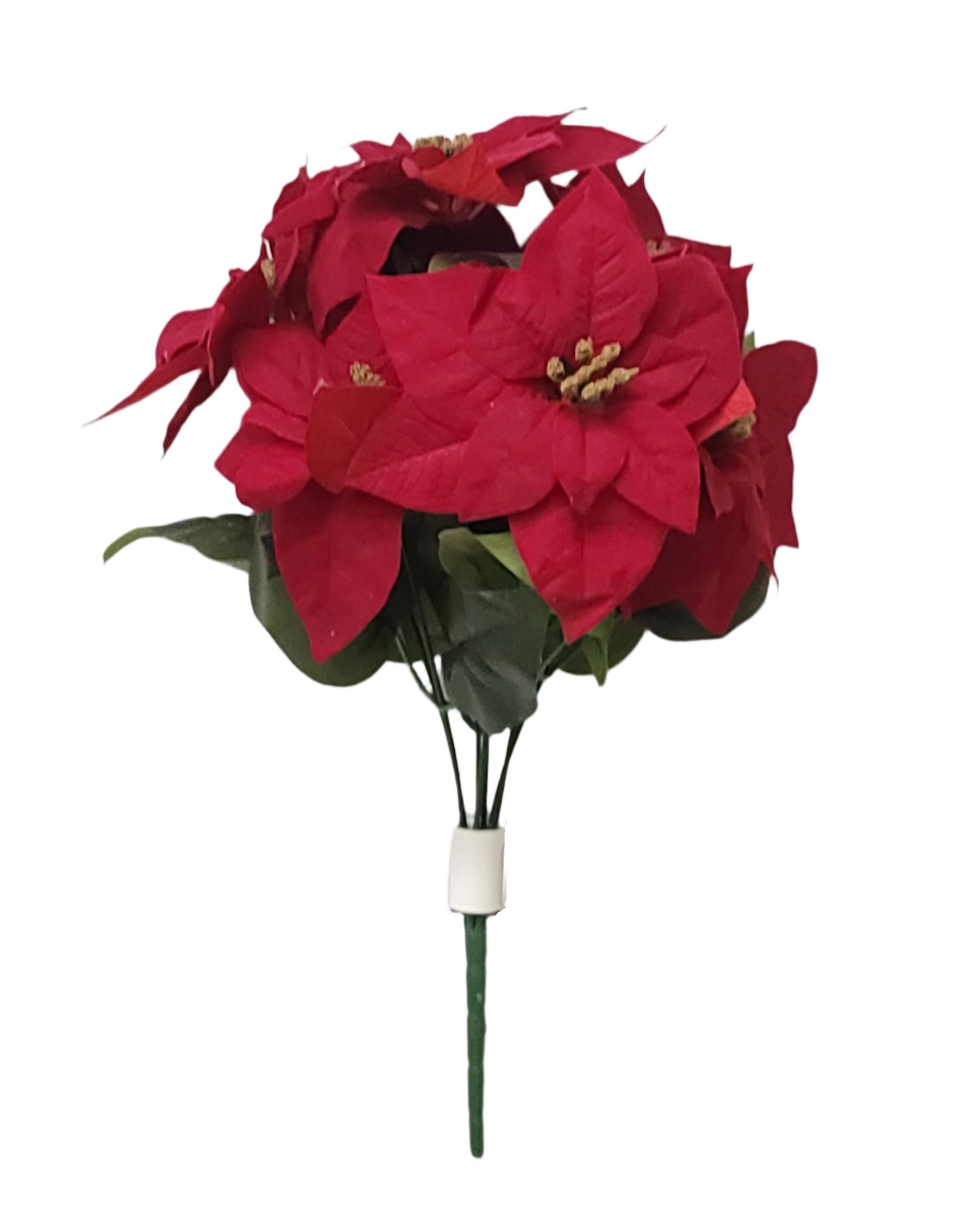 POINSETTIA BUSH X7 RED  13141