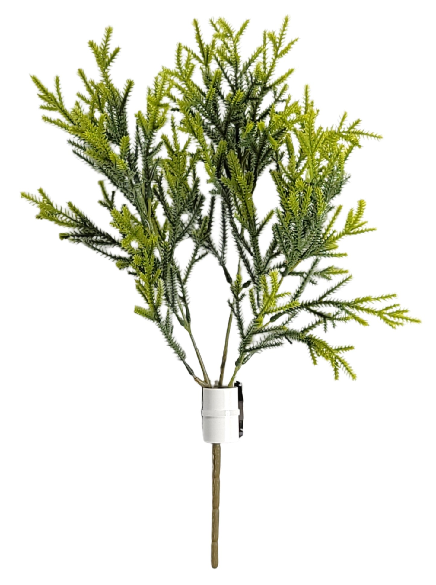 15371 PLS Cedar Bush X3 GREEN