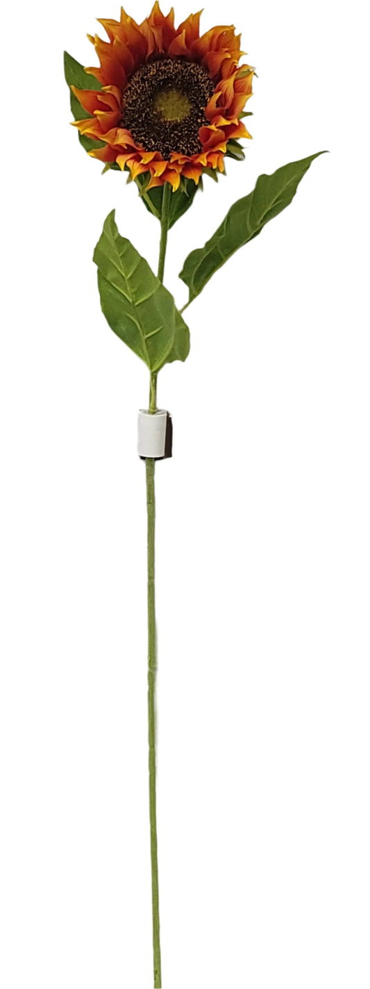 12017  SUNFLOWER STEM