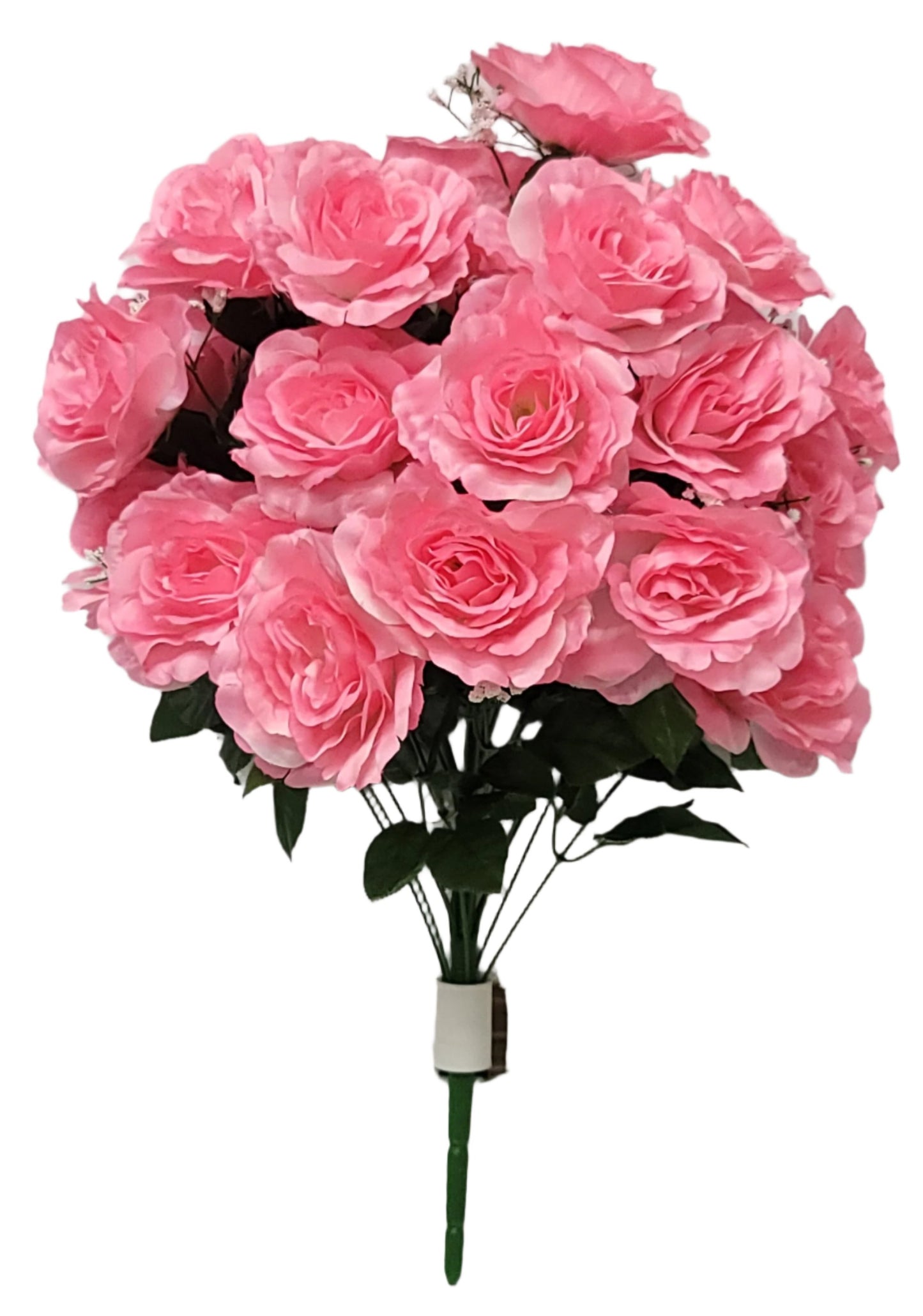 55919-Pk 23" SATIN ROSE W/GYPSO x24 HEADS