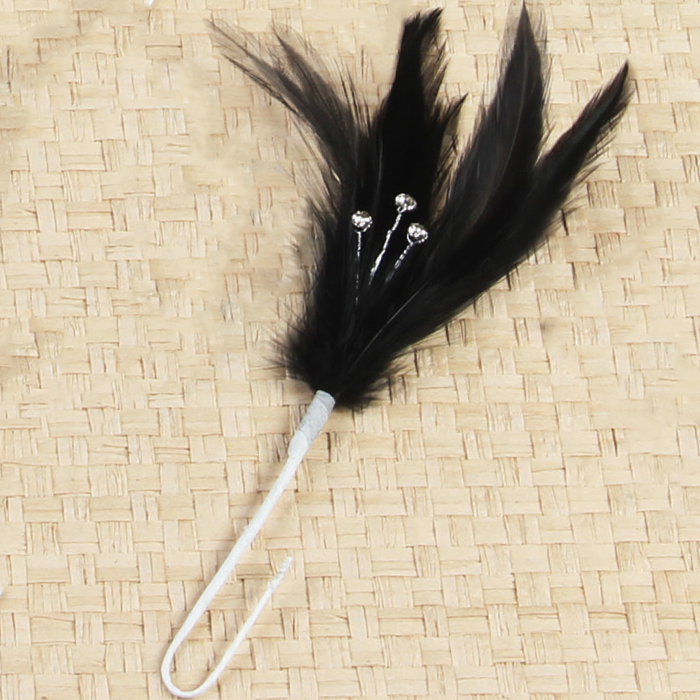 2026-Black Rhinestone Feather Spray