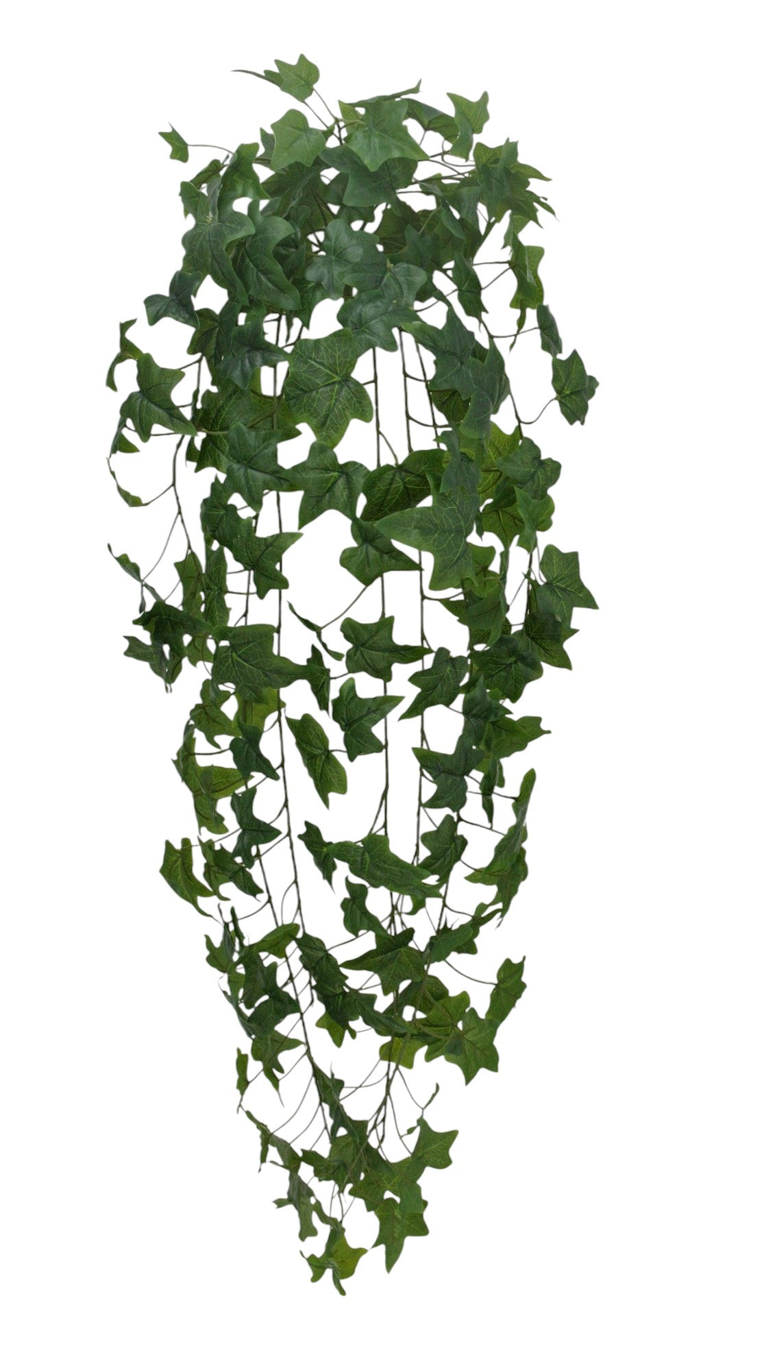 21167 | 45" | ENGLISH IVY HANGING