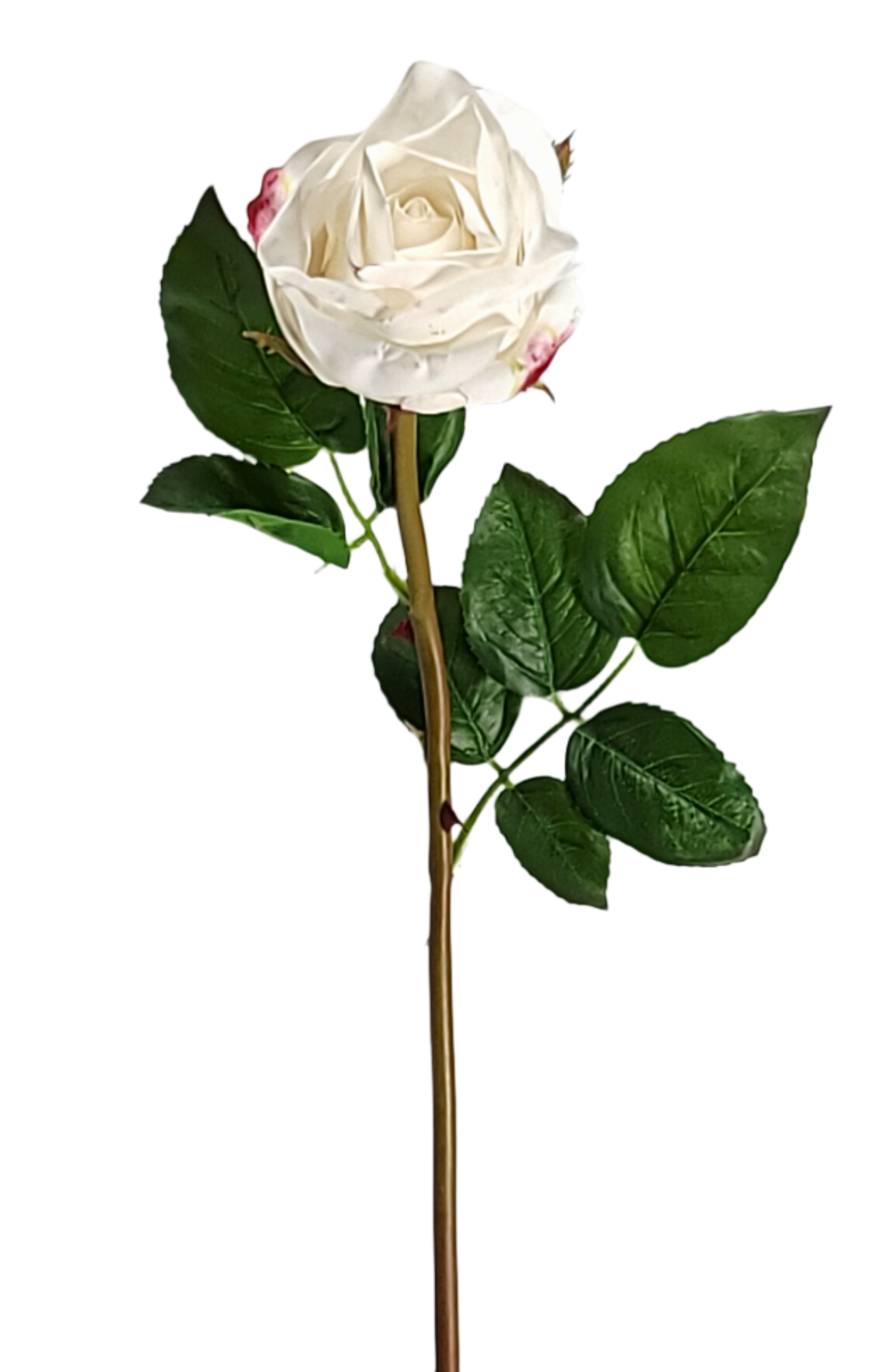 2251004CW 25" Beauty Rose Bud Stem