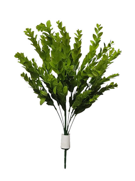 43351  BOXWOOD BUSH X7- GREEN