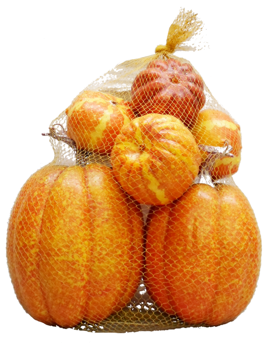 54239  5-STYLE MIXED PUMPKIN IN NET 7/ASST