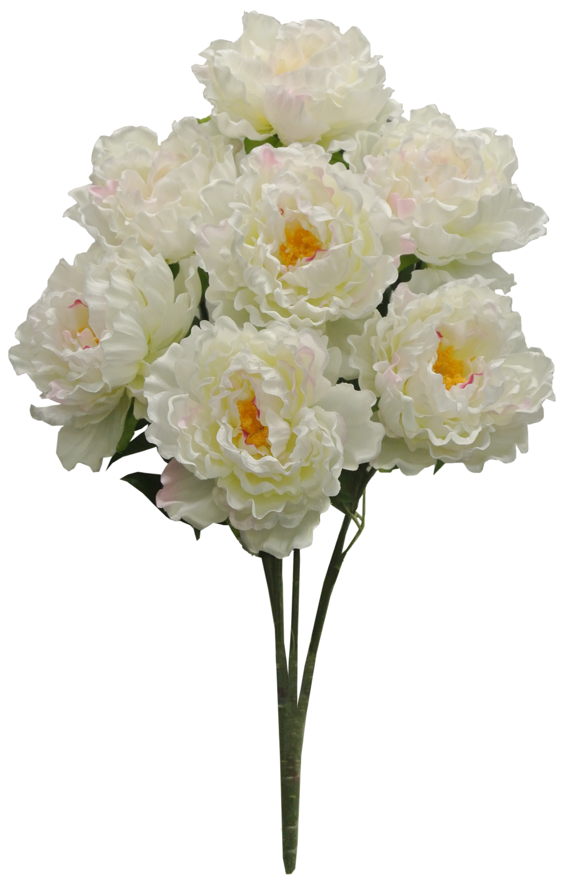 54849-CR 22" Peony Bushx7 - A&B Wholesale Market Inc