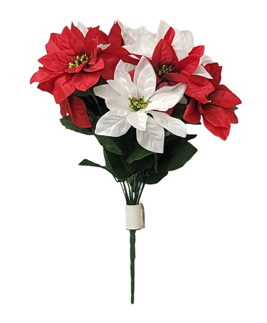 56333   POINETTIA BUSH X12 RED/CREAM