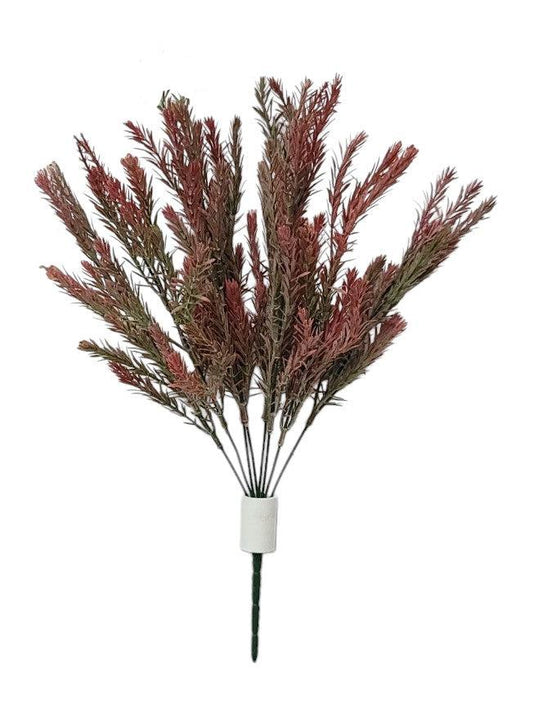 57755 Rosemary Bush x8- RED