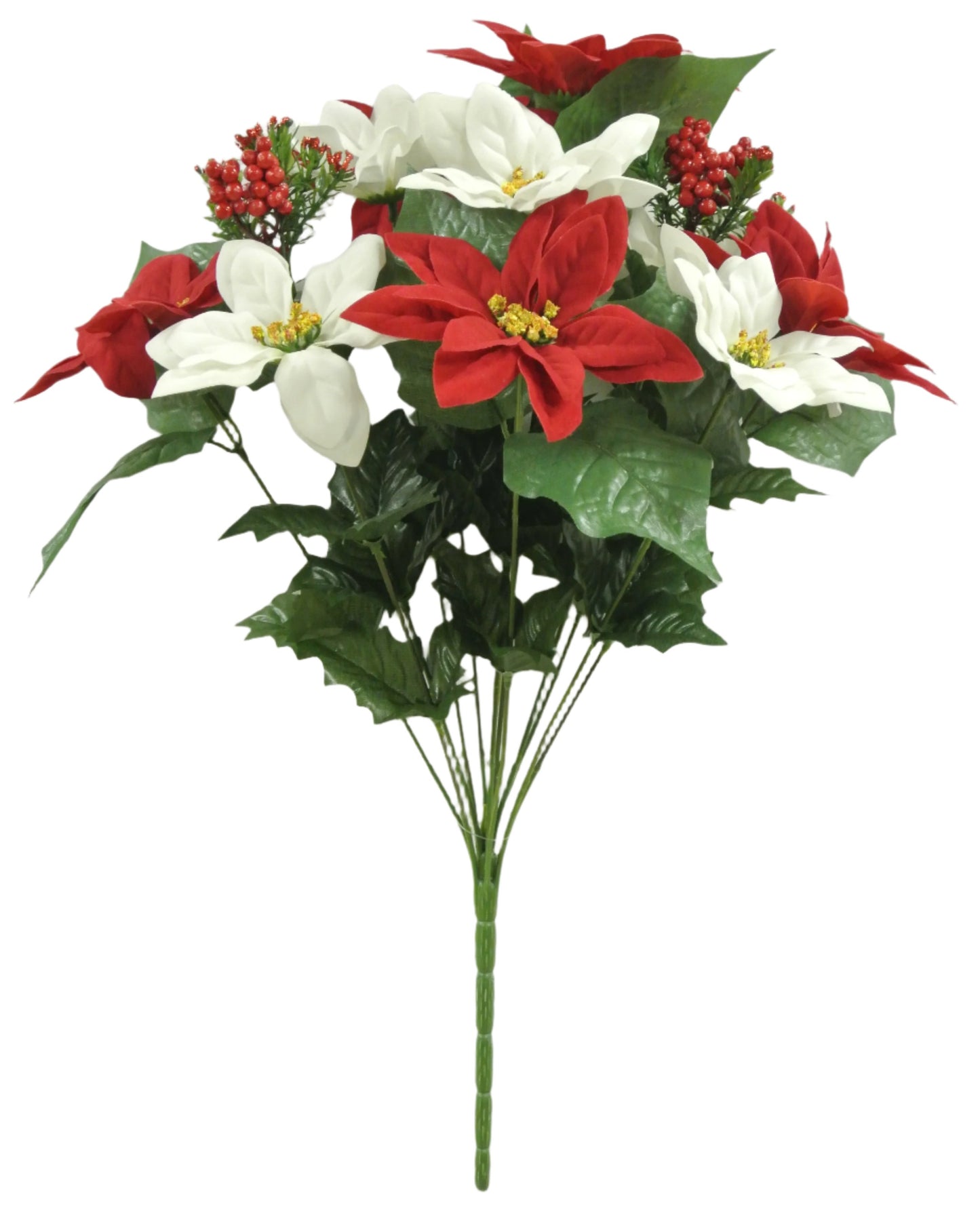 58855-WTRD 20" Poinsettia Bush x12 - A&B Wholesale Market Inc