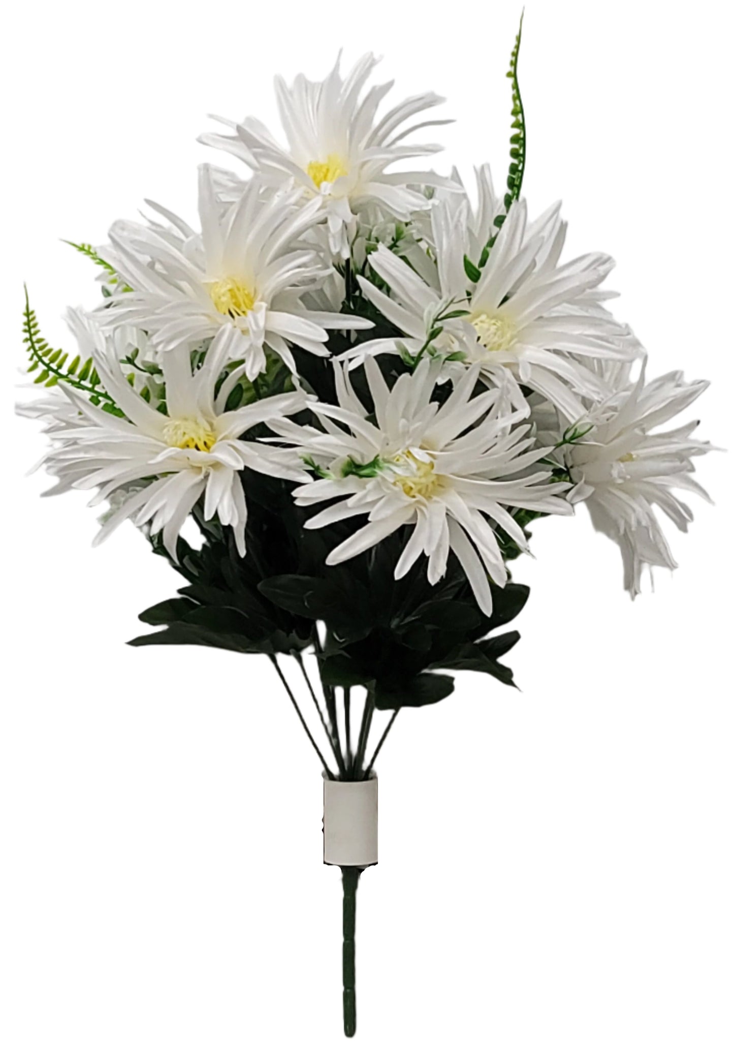 64498 Spider Mum x12 WHITE