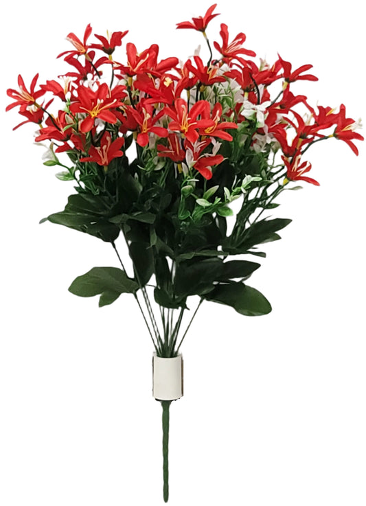 65803 Tweedia Cluster Bush X10 RED