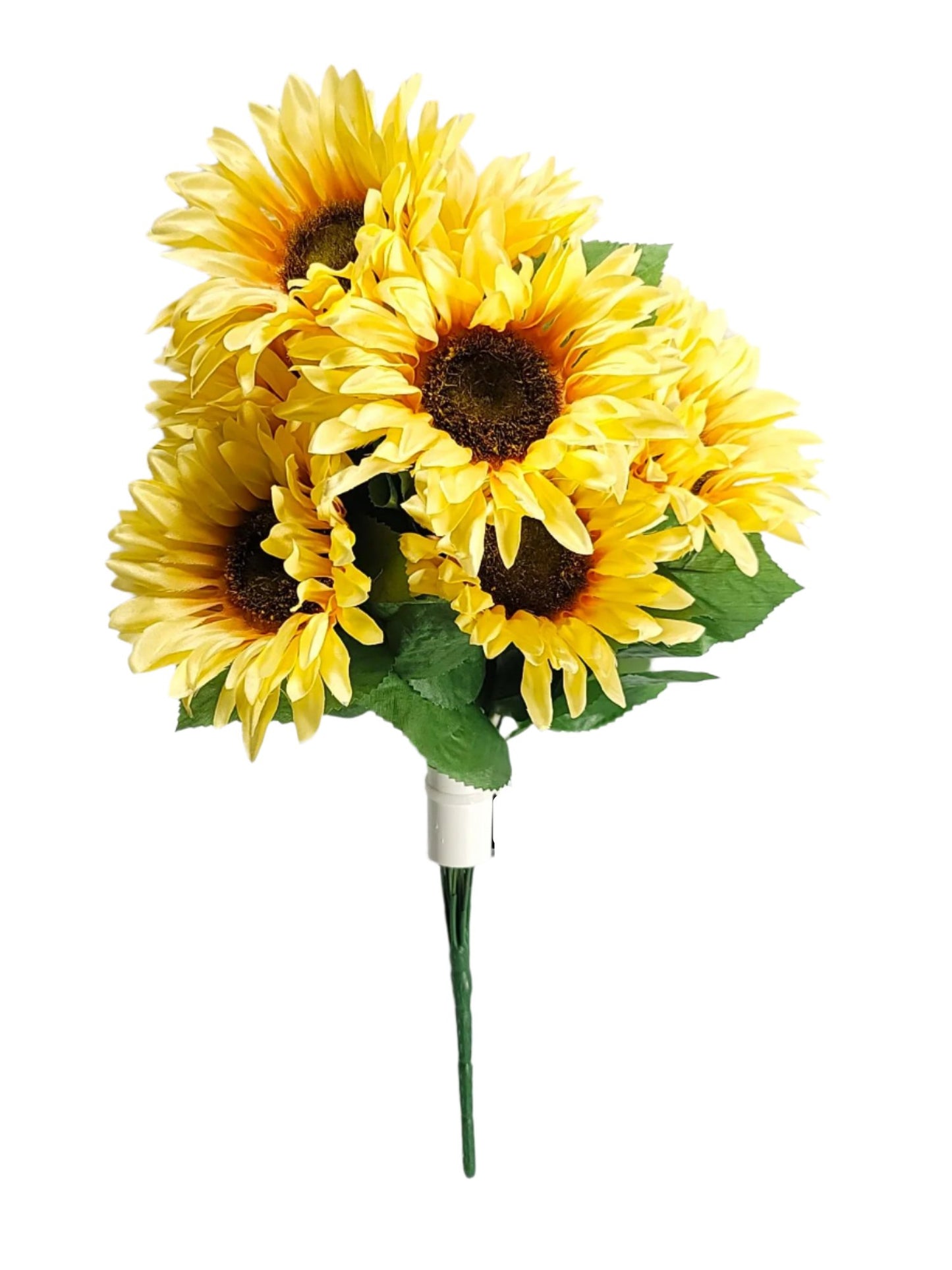 71323 Sunflowers x10 CREAM