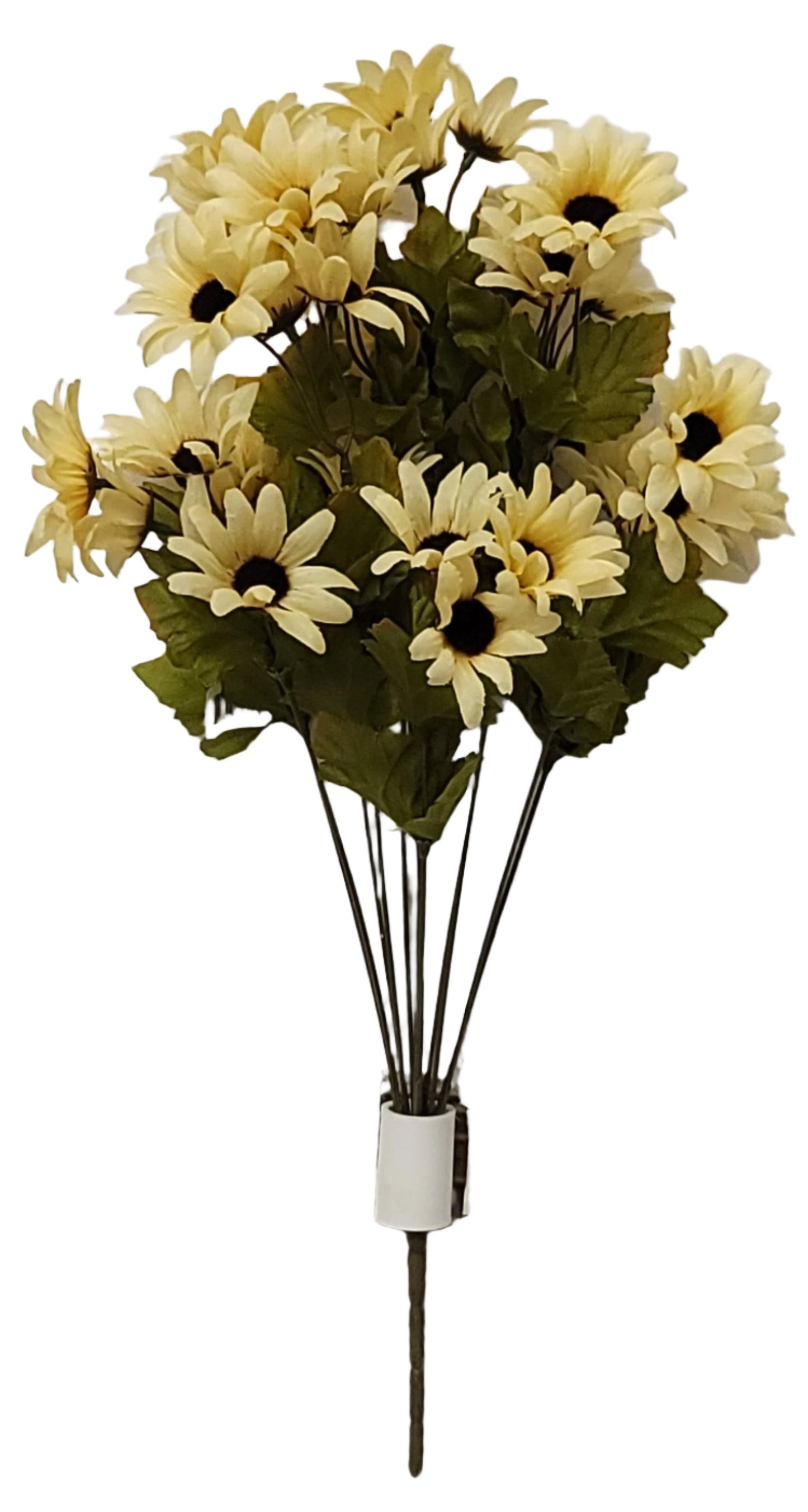 72553 DAISY BUSH X12 BEIGE