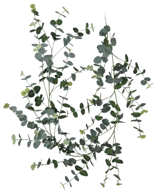 80075-FROSTED 6' Eucalyptus Garland - A&B Wholesale Market Inc