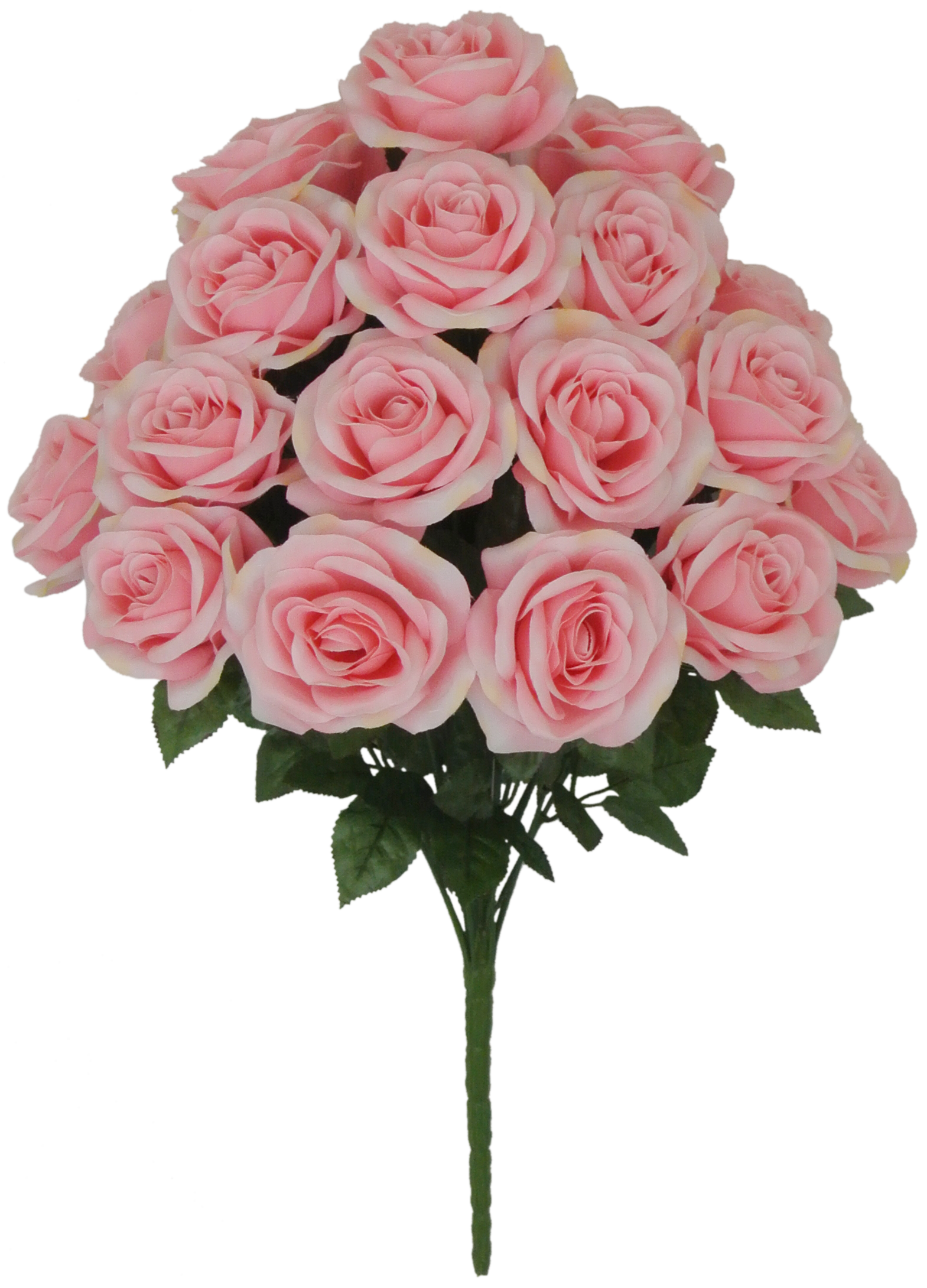 80194-PK 22" Micro Peach Rose Bush x - A&B Wholesale Market Inc