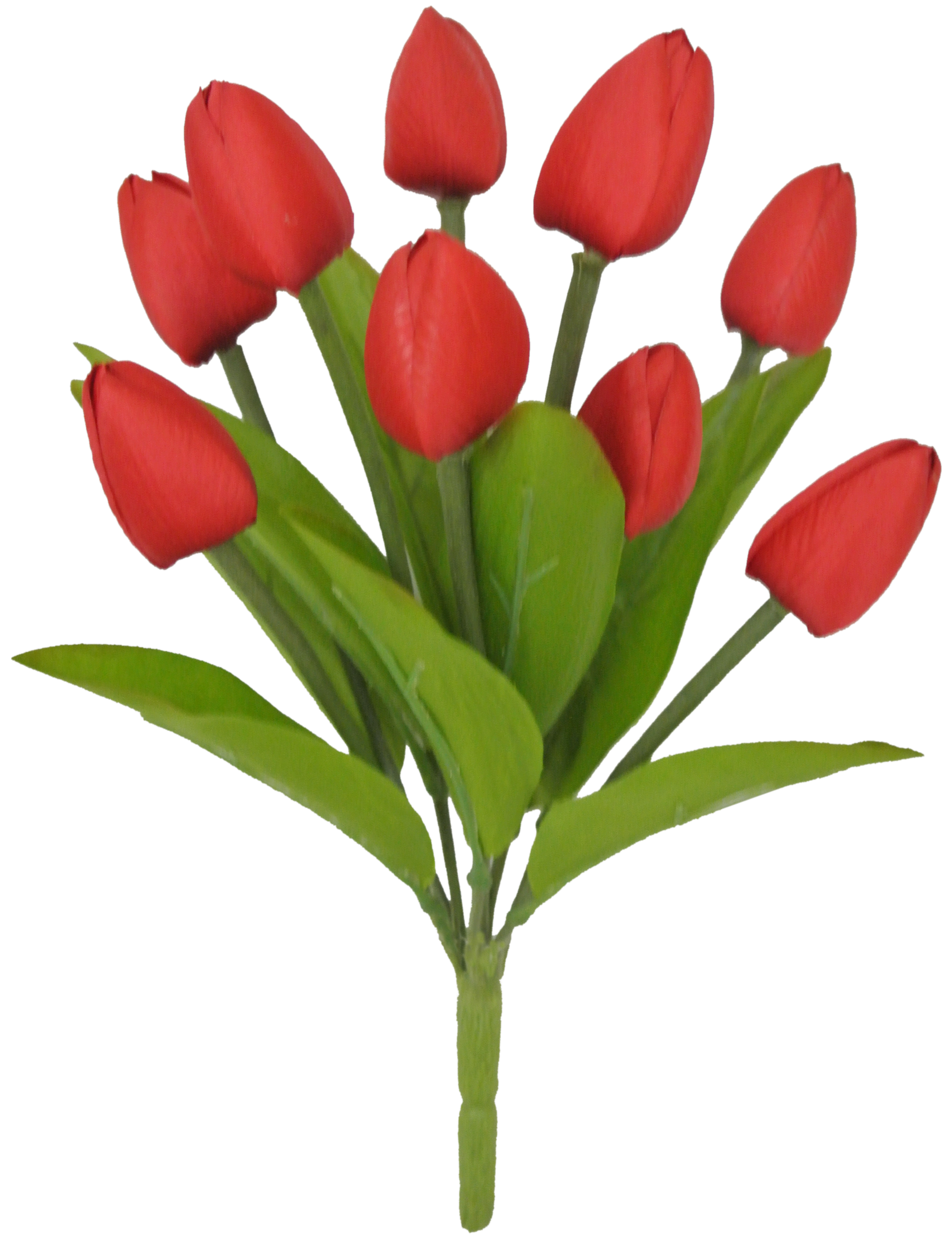 80310-RD 13" Tulip Bush x9 - A&B Wholesale Market Inc