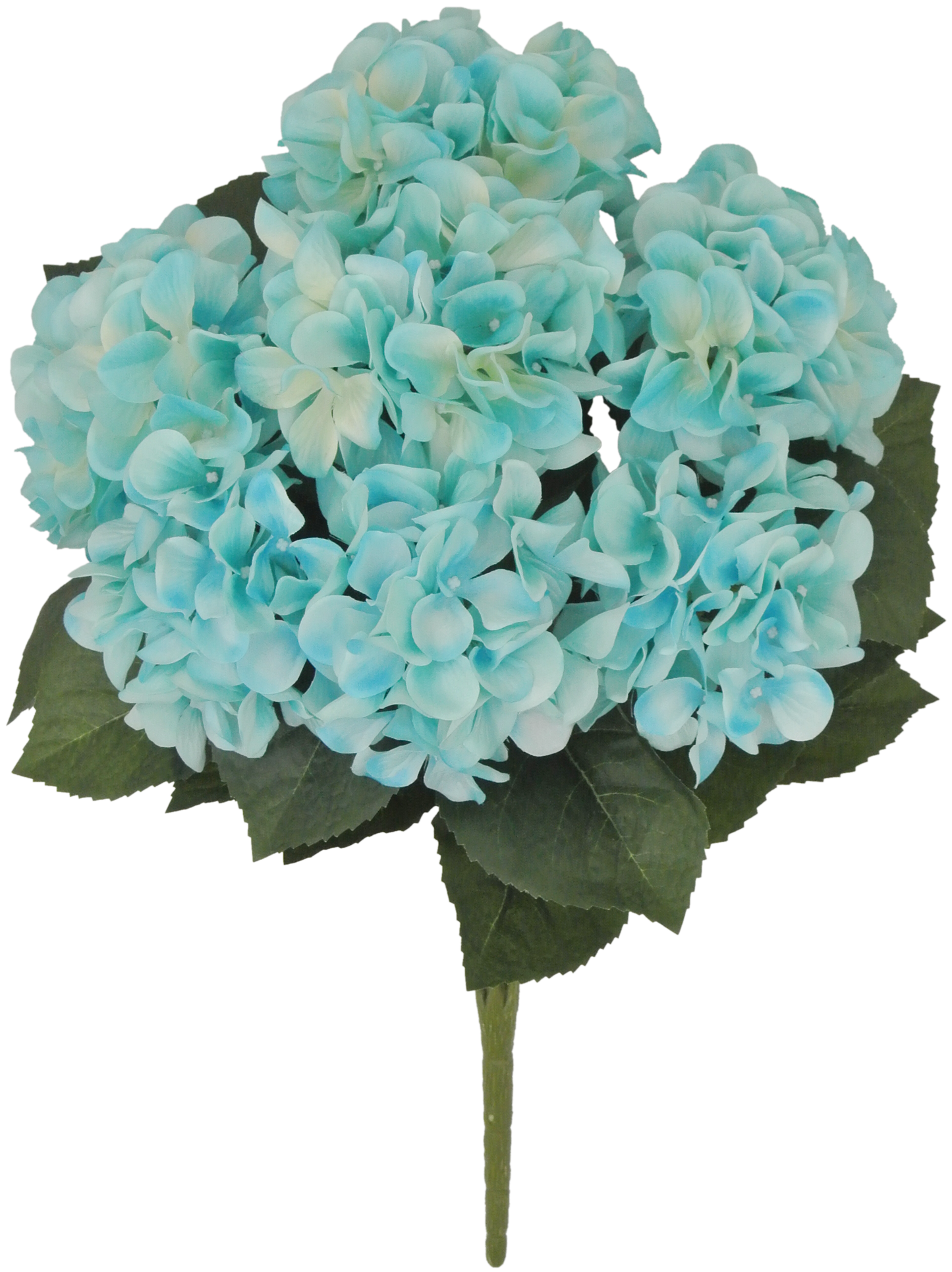 80312-TQ 22" Hydrangea Bush x7 - A&B Wholesale Market Inc