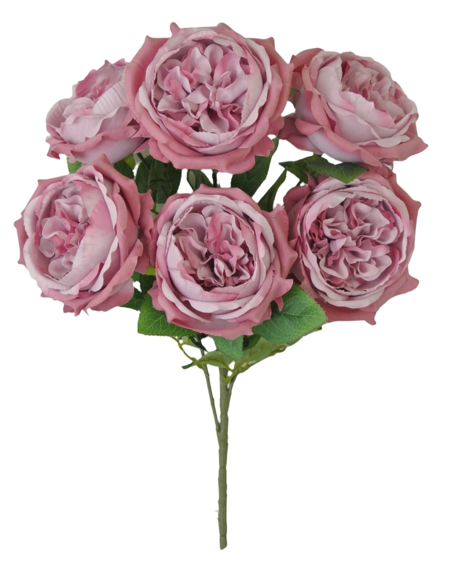 81105-MV English Garden Rose - A&B Wholesale Market Inc