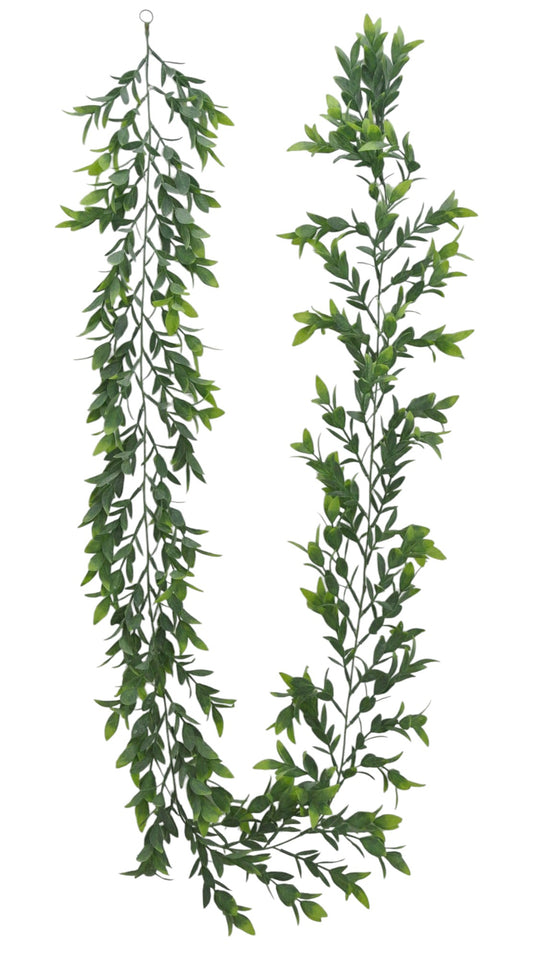 82385  6FT RUSCUS GARLAND