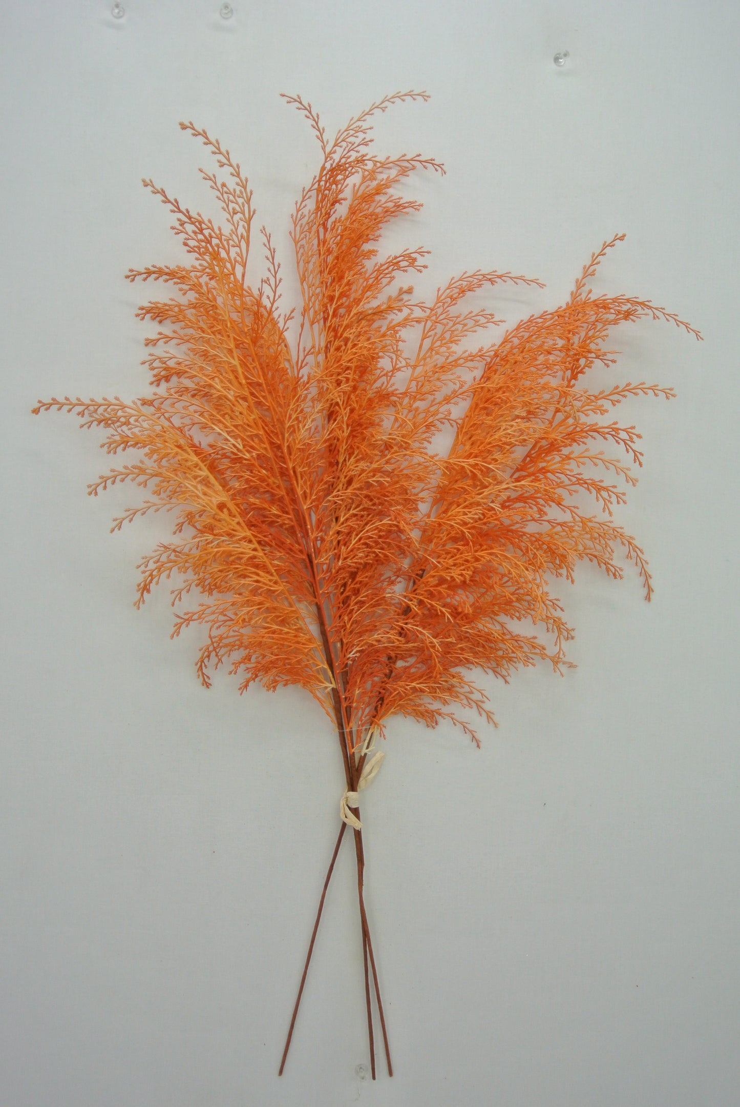 82680-OR 28" Phoenix Tail Fern - A&B Wholesale Market Inc