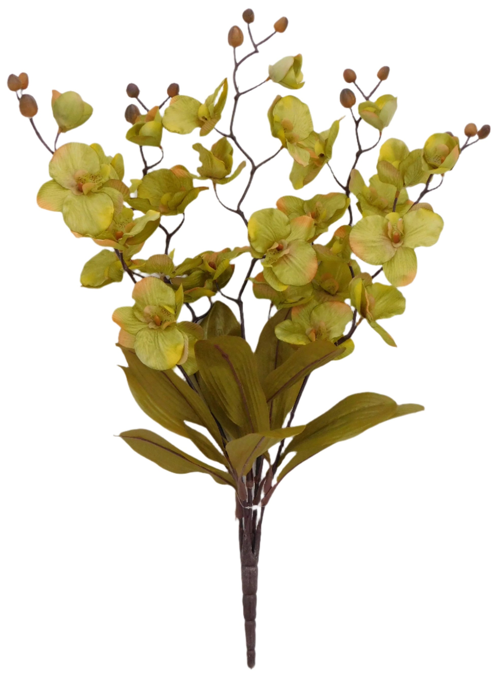 82939-GN 26" Orchid Bush x5 - A&B Wholesale Market Inc