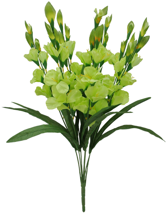 83343-GN 27" GLADIOLUS BUSH X7 - A&B Wholesale Market Inc