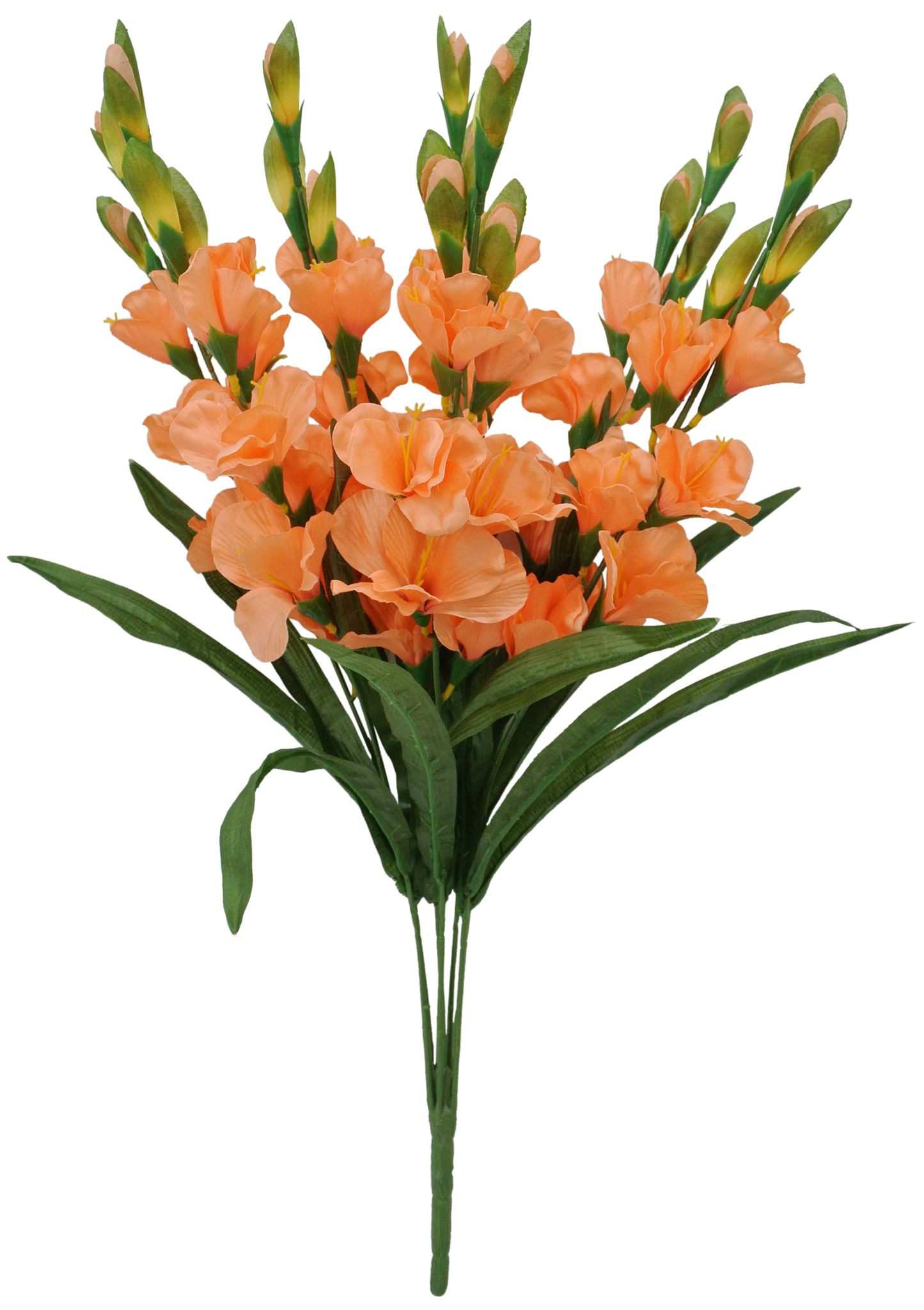 83343-PH 27" GLADIOLUS BUSH X7 - A&B Wholesale Market Inc