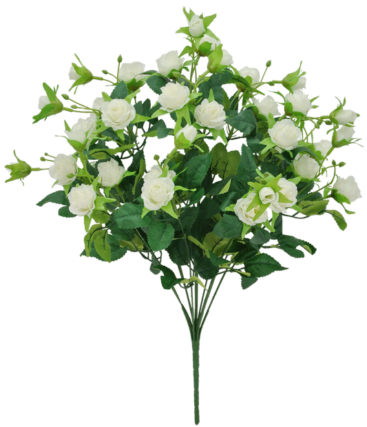 83999-CR 20" MINI ROSE BUSH X12