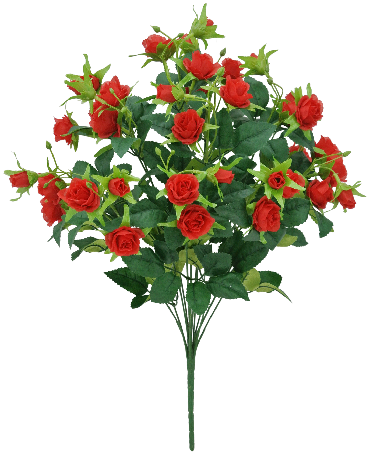 83999-RD 20" MINI ROSE BUSH X12