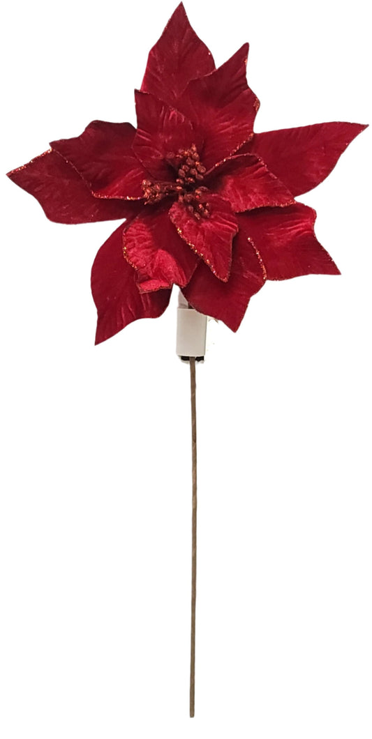 84535  POINSETTIA X1 RED