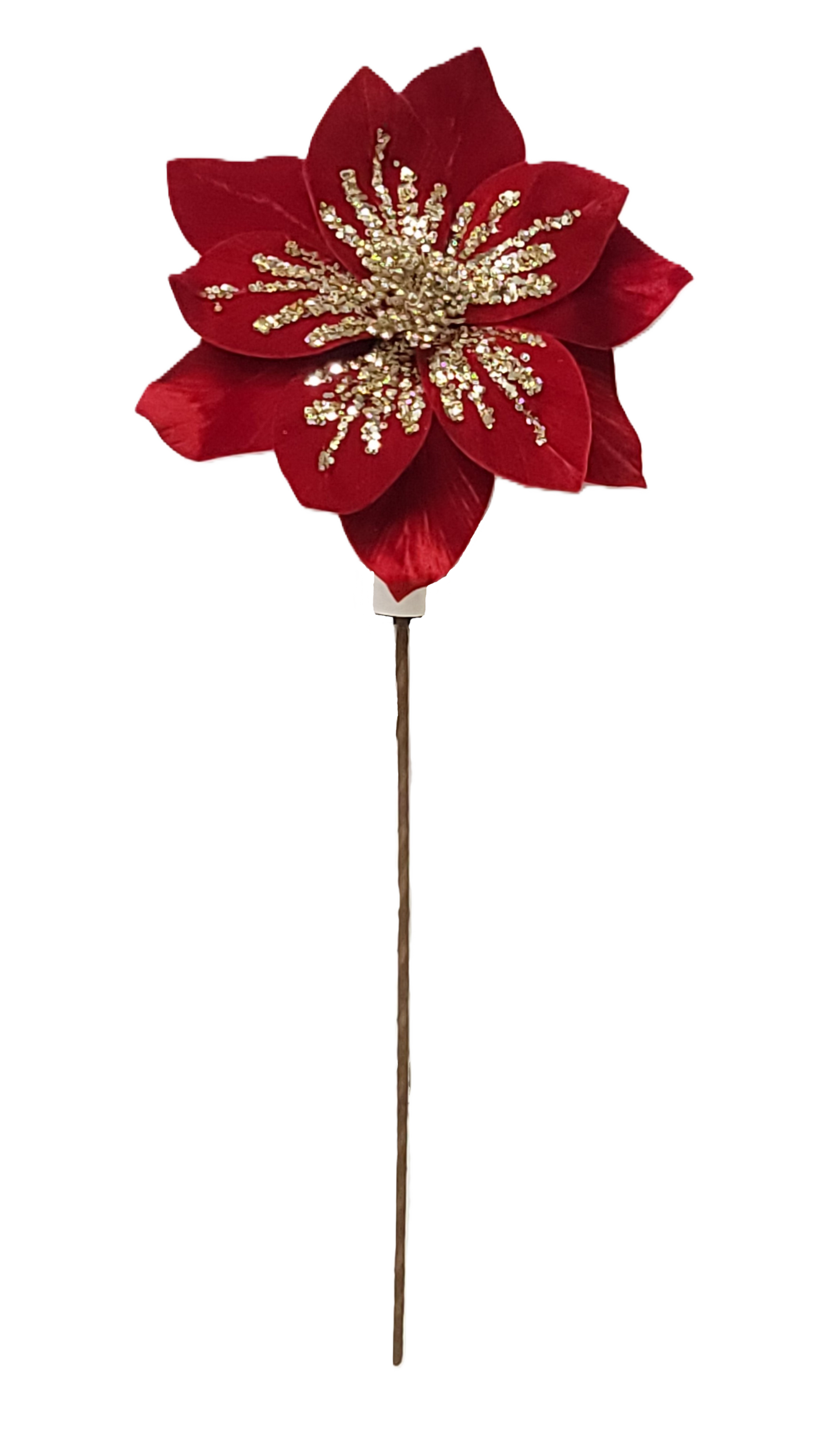 84562  POINSETTIA X1 RED/GOLD