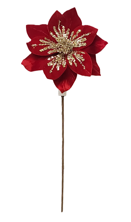 84562  POINSETTIA X1 RED/GOLD