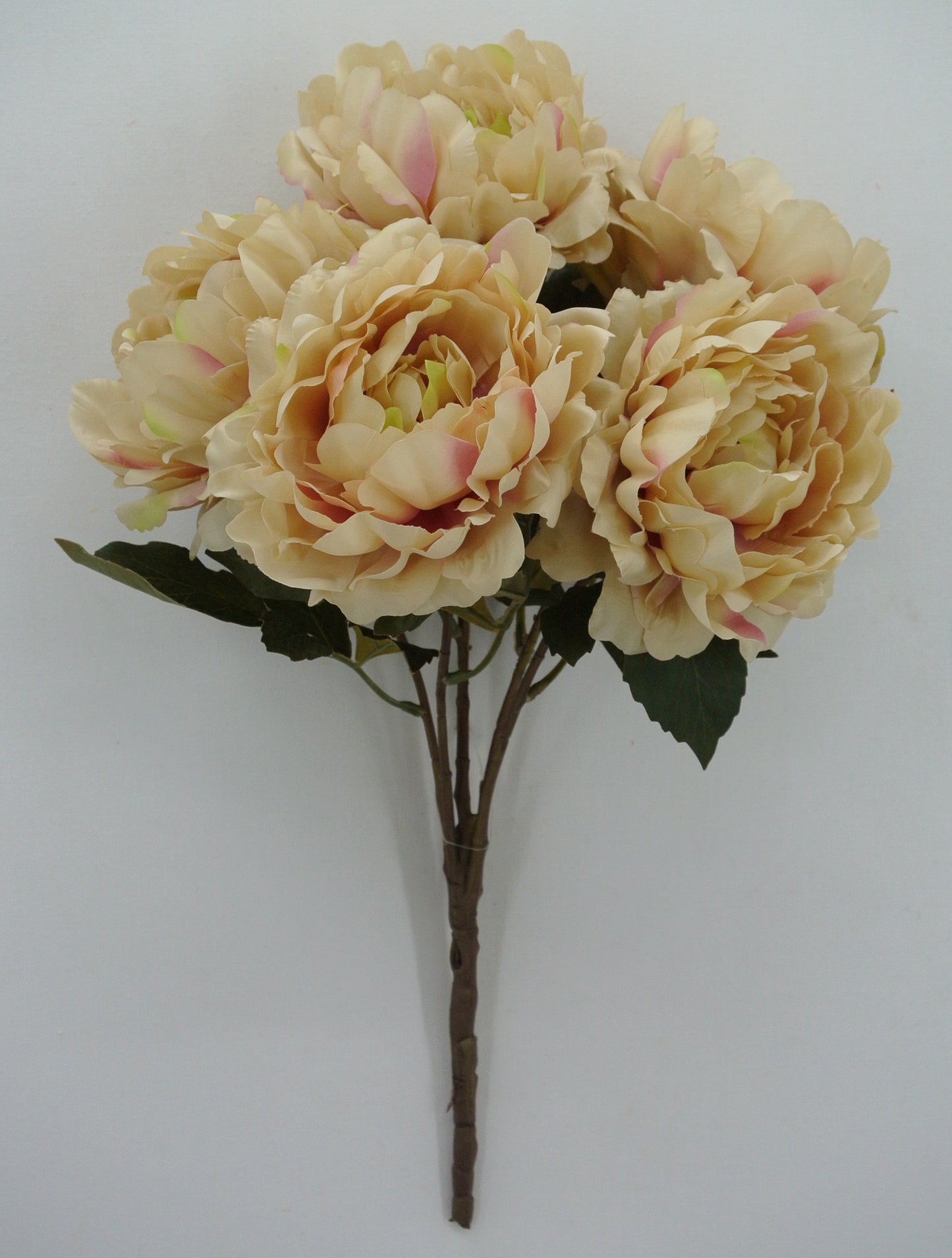 84615-BEIGE  19" SATIN PEONY BUSH X5