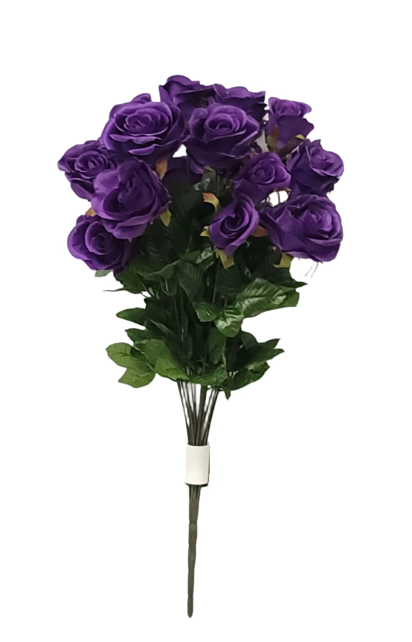 96144  ROSE BUSH X18 PURPLE