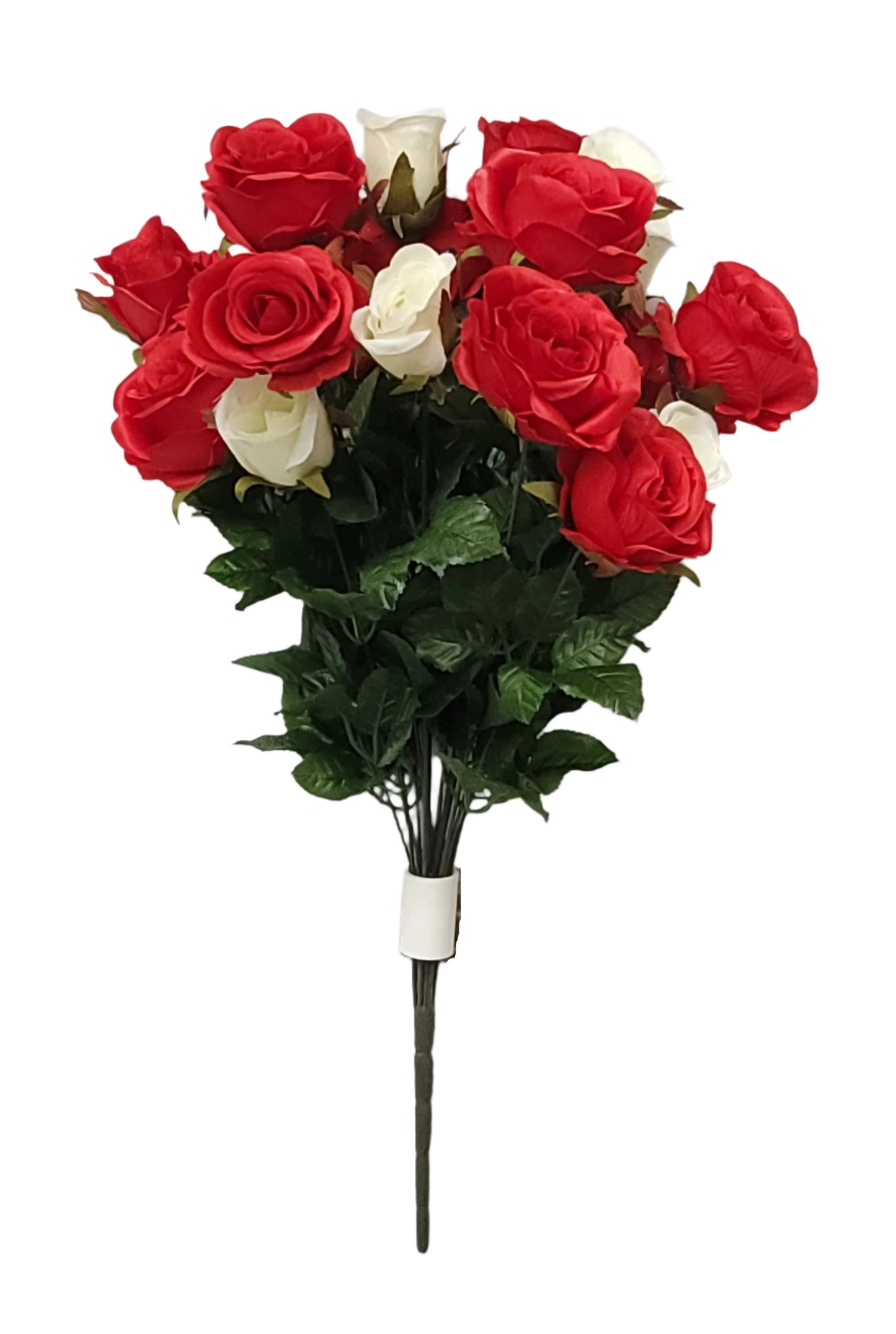 96148   ROSE BUSH X18 RED/CREAM