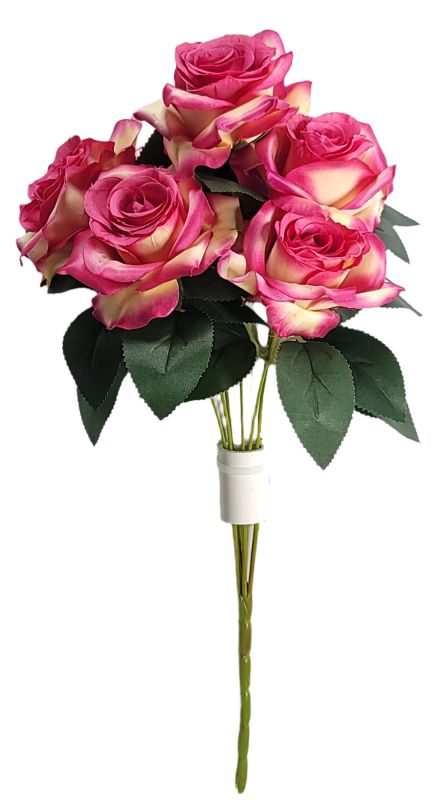 B23211-BTY Diamond Rose Bush x7