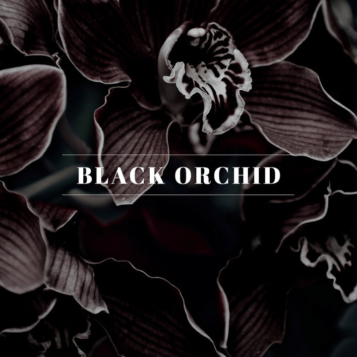 40249 1/2oz. Oil- Black Orchid